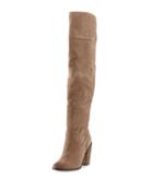 Orene Suede Over-the-knee Boot