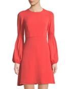 Smocked-sleeve Fit-&-flare Dress