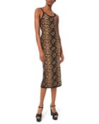Stretch Metallic Python
