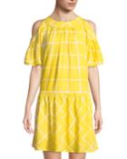 Windowpane Drop-waist Dress