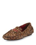 Terry-trimmed Suede Driver,