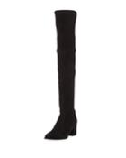Thighland Suede Over-the-knee Boots
