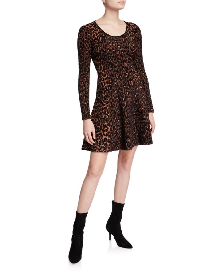 Textured Cheetah Long-sleeve Fit-&-flare Dress