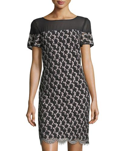 Mesh Yoke Lace