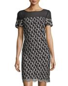 Mesh Yoke Lace