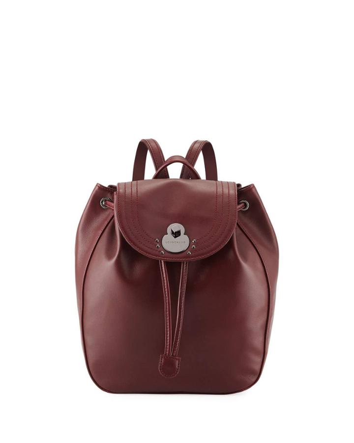 Alezane Leather Backpack