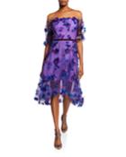 Off-the-shoulder Blouson-sleeve Tulle Dress W/