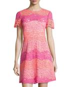 Rio Floral-lace Dress, Pink Pattern