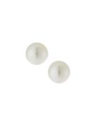 14k White Gold South Sea Pearl Earrings