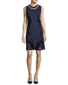 Delany Sleeveless Velvet Lace-trimmed Dress