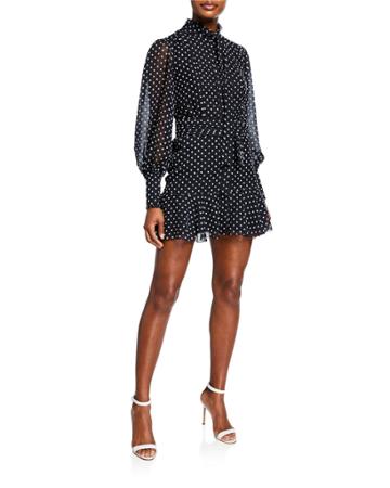 Ivette Embroidered Dot Dress