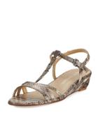 Flecha Snakeskin Demi-wedge