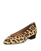 Leopard-print Calf Hair Pump