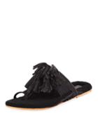 Scaramouche Mixed-fur