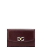 Dg Leather Wallet On A Chain/crossbody Bag