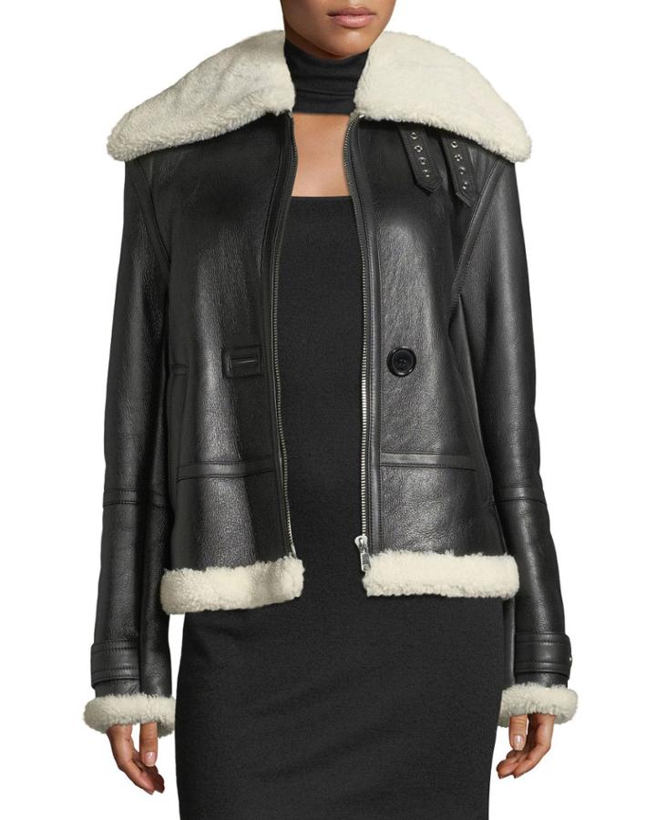 Aviator Zip-front Shearling/leather Jacket