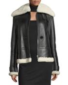 Aviator Zip-front Shearling/leather Jacket