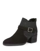 Fane Suede Buckle Bootie, Black