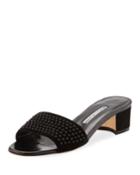 Falcopearl Studded Suede