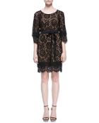 Tie-waist Scalloped Lace Dress, Black