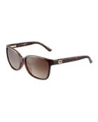 Square Havana Plastic Sunglasses W/ Web Temples, Brown