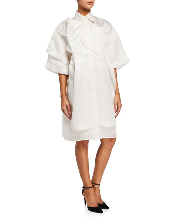 Silk Organza