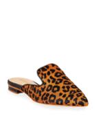 Tracy Leopard-print
