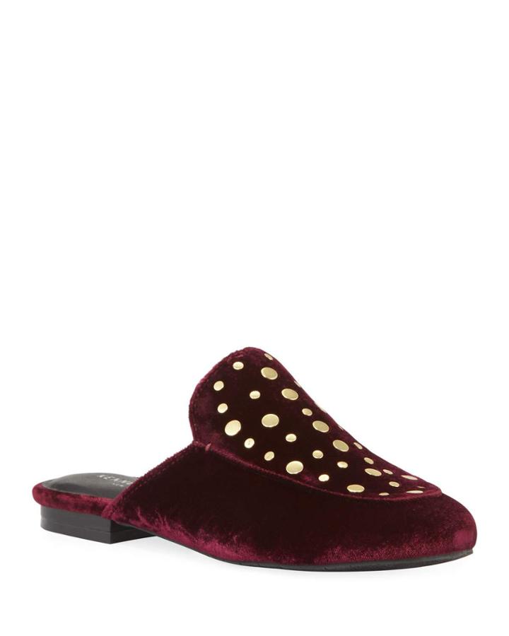 Wynter Studded Velvet
