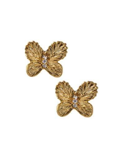 Cz Butterfly
