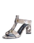 Python T-strap 65mm Slide