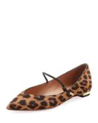 Stylist Leopard-print Ballet Flats