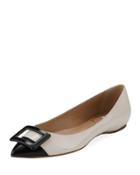 Two-tone Pointed Ballerina Flat