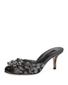 Keria Jeweled Lace Low-heel