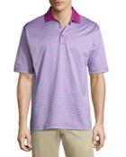 Stripe-print Short-sleeve Polo