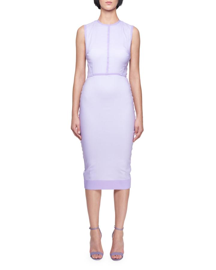 Sleeveless Crewneck Fitted Dress With Organza Overlay