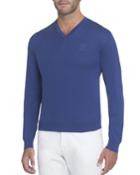 Silk V-neck Sweater With Tonal Eagle