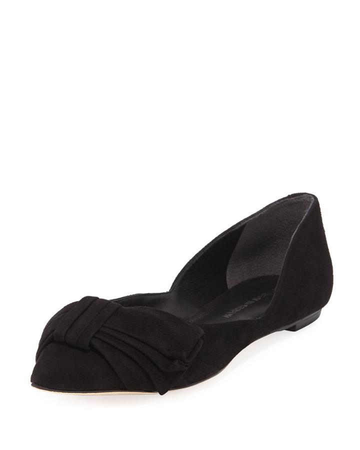 Simona Pointy-toe Ballet Flat