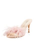 Vanity Slide Feather