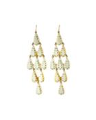 Densi Chandelier Horn Earrings