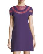 Fit & Flare Lace-inset Dress