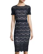 Short-sleeve Lace Midi Dress, Navy