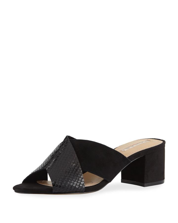 Dover Snake-embossed