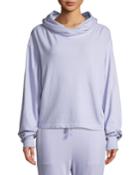 Ash Garment-dye Hoodie Pullover