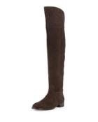 Simone Over-the-knee Suede Boot, Cafe