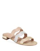 Dania Metallic Three-band