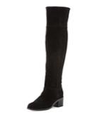 Ashby Suede Over-the-knee Boots