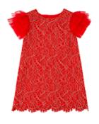 Woven Lace Dress W/ Tulle Flutter Sleeves,