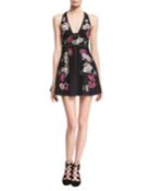 Floral-embroidered Sleeveless Fit & Flare Minidress, Black