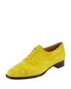 Bath Suede Brogue Oxford