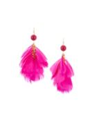 Hot Pink Feather Drop Earrings